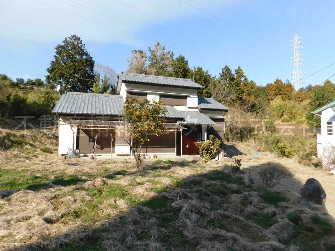 31年1月撮影