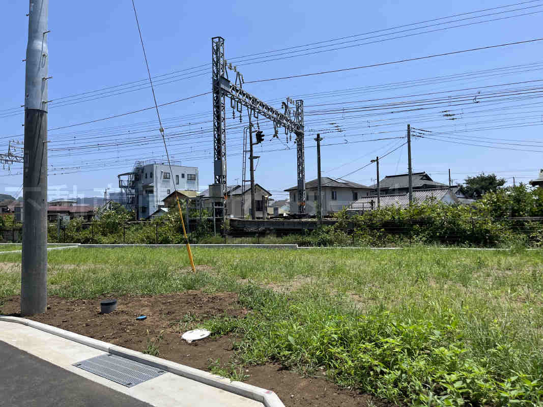 2023年7月撮影