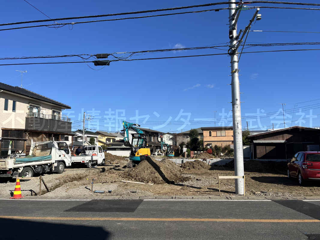 2024年12月撮影