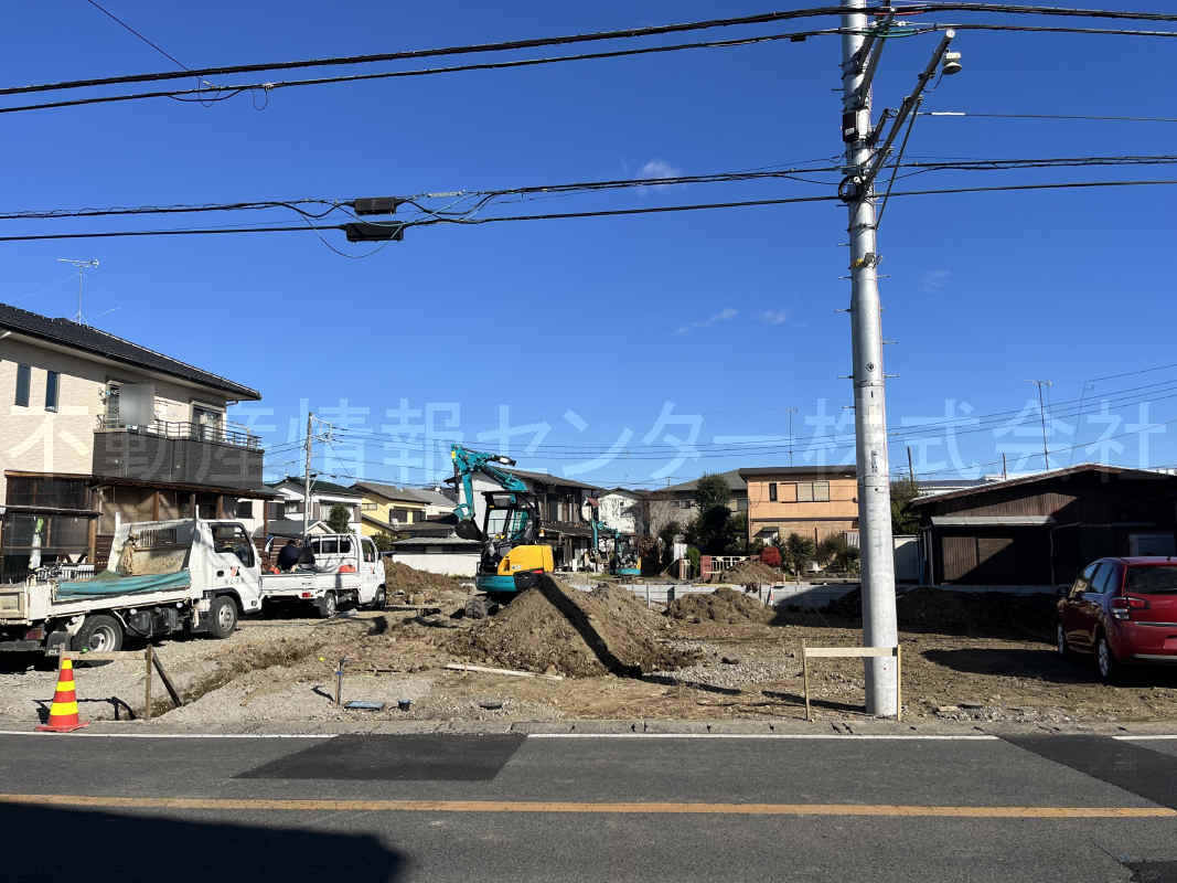 2024年12月撮影