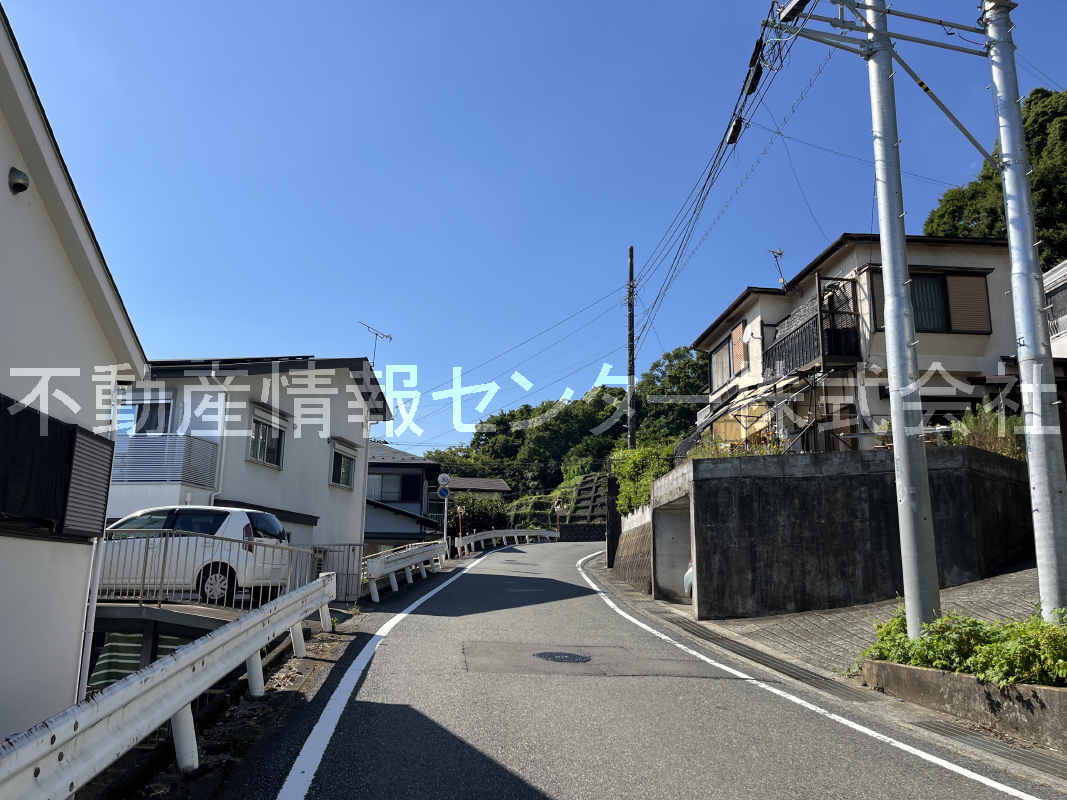 2025年8月撮影