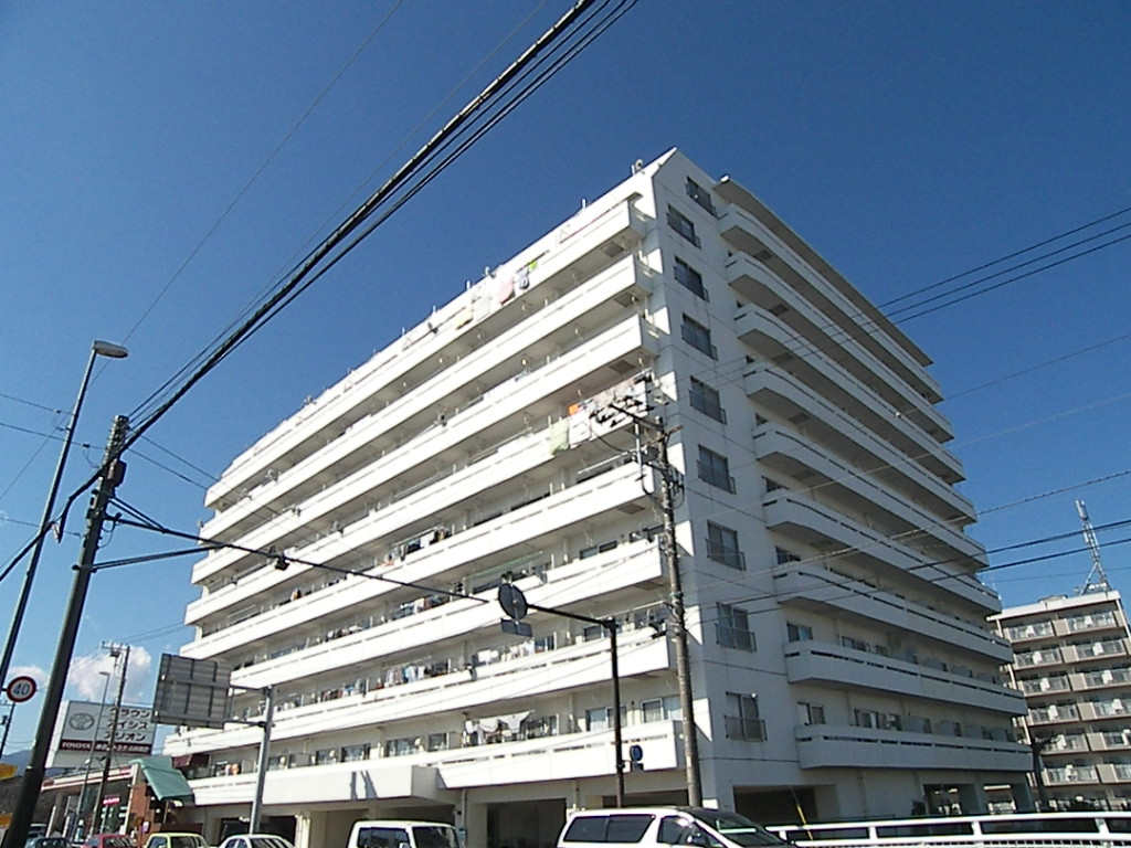 拡大してご覧になれます