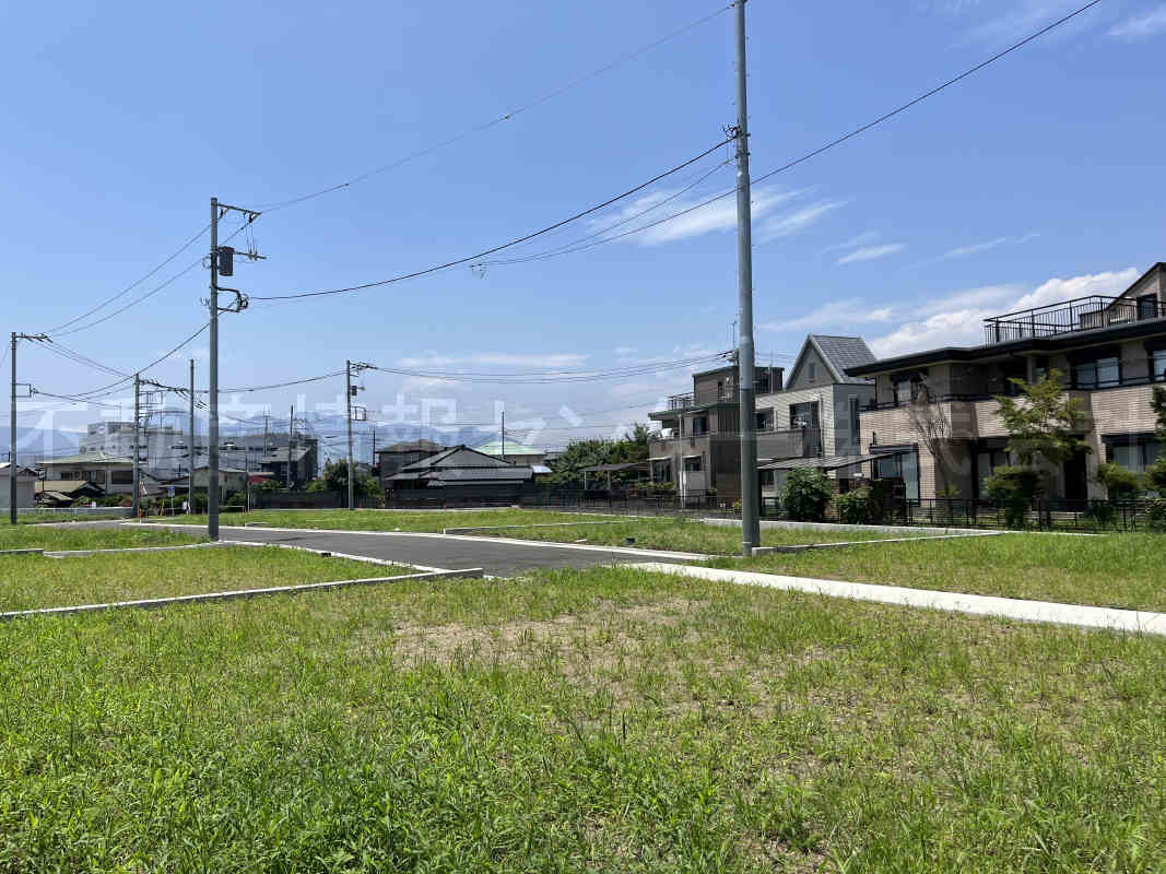 2023年7月撮影