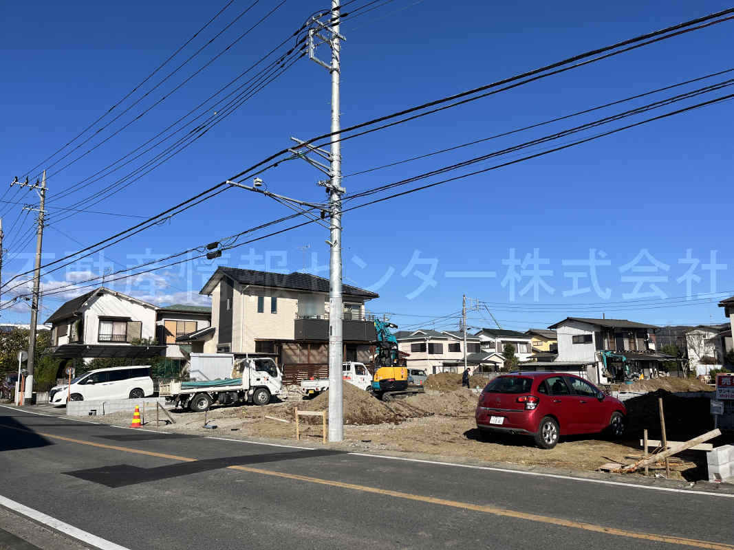 2024年12月撮影