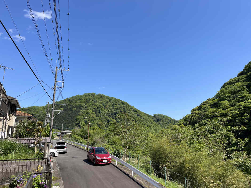 2025年5月撮影