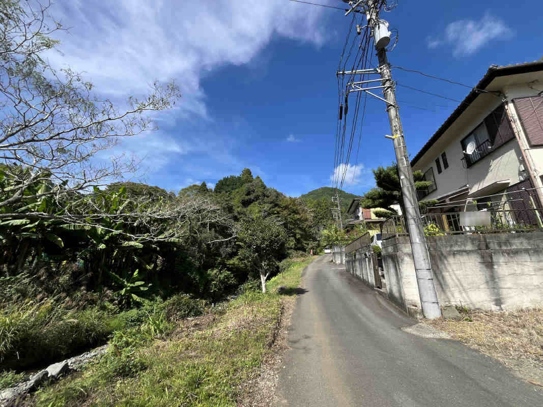 拡大してご覧になれます