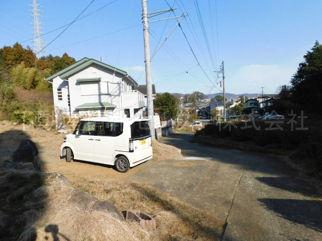 31年1月撮影