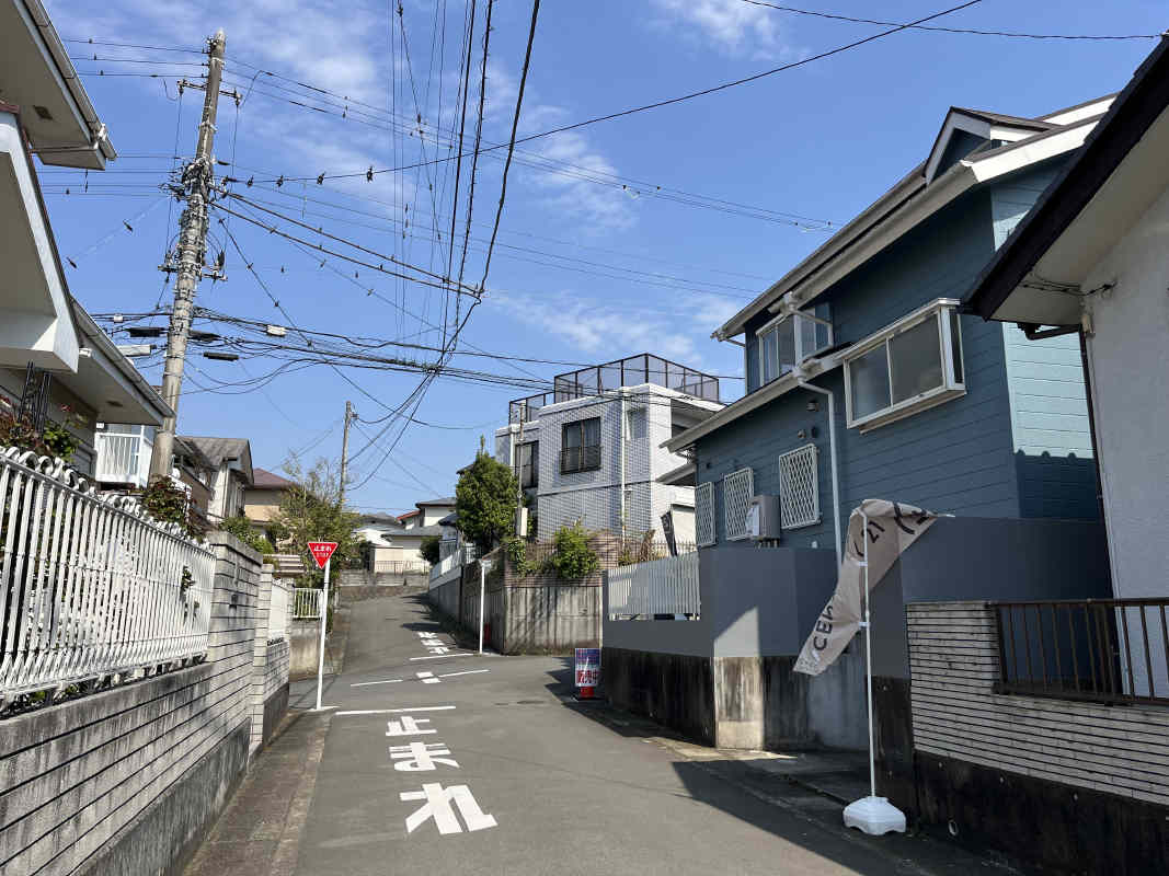 2025年4月撮影