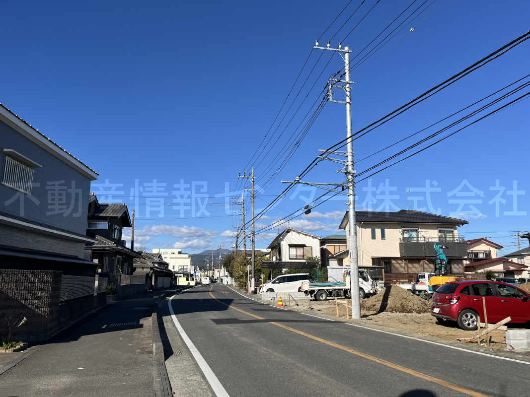 2024年12月撮影