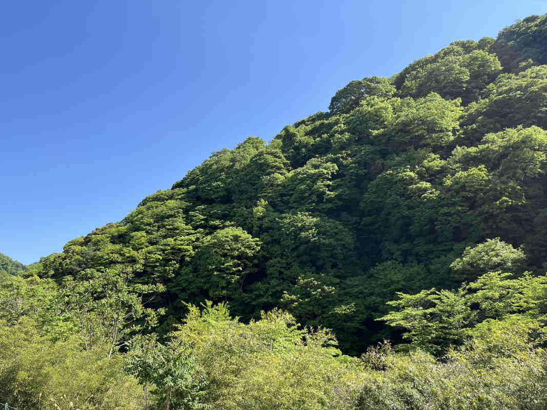 2025年5月撮影