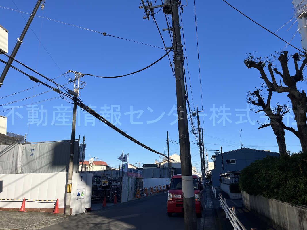 2024年11月撮影