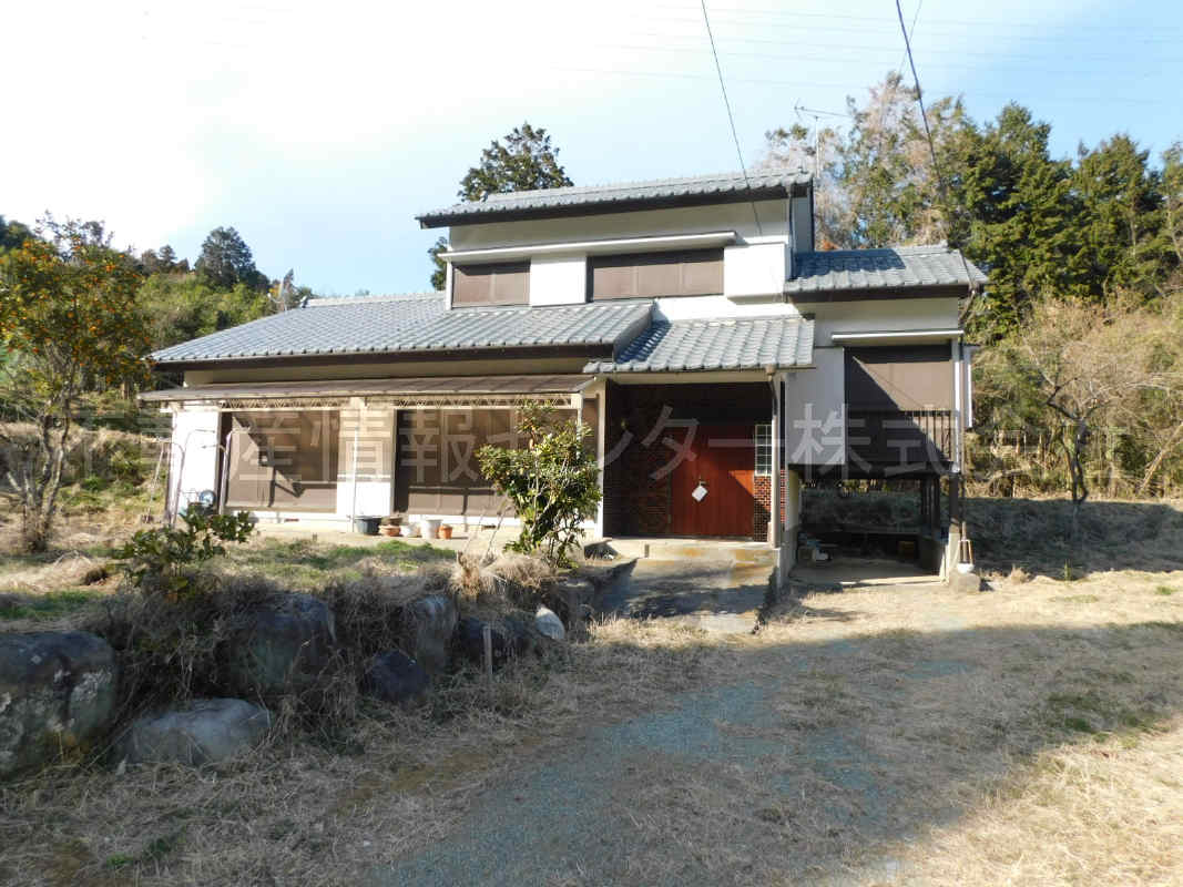 31年1月撮影