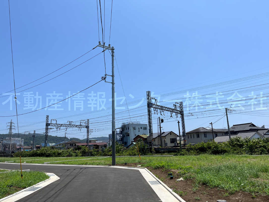 2023年7月撮影