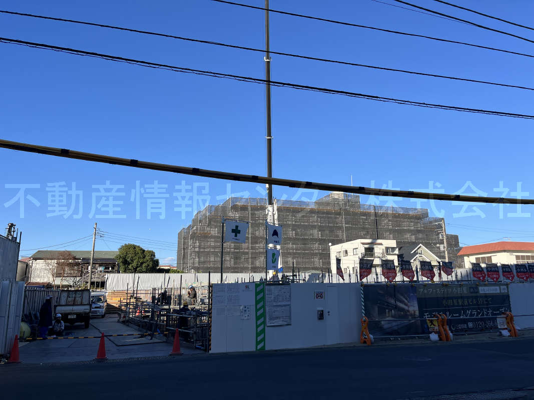 2024年11月撮影