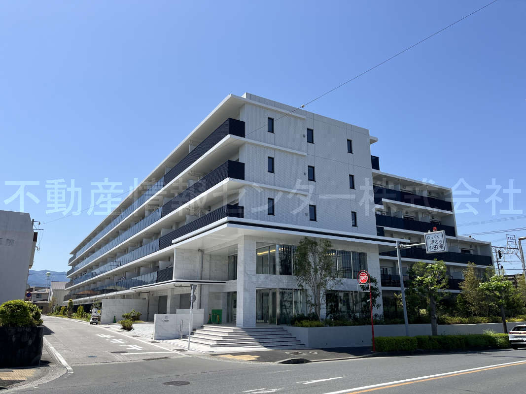 2024年5月撮影
