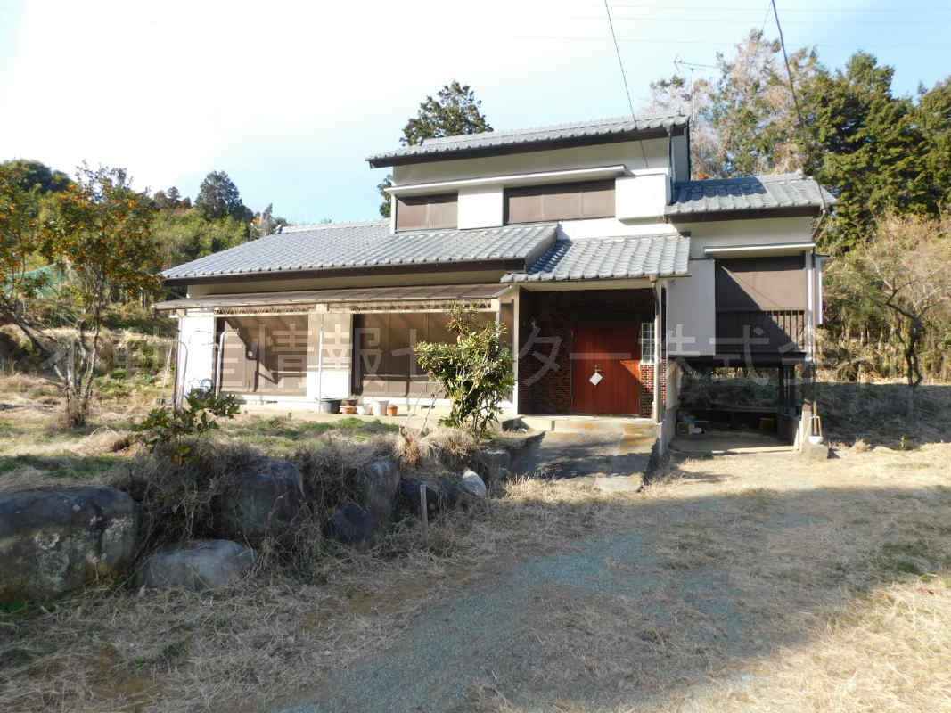 31年1月撮影