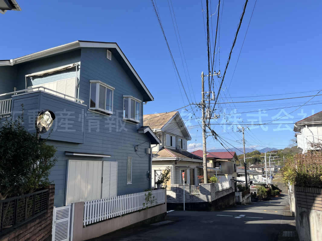 2024年11月撮影