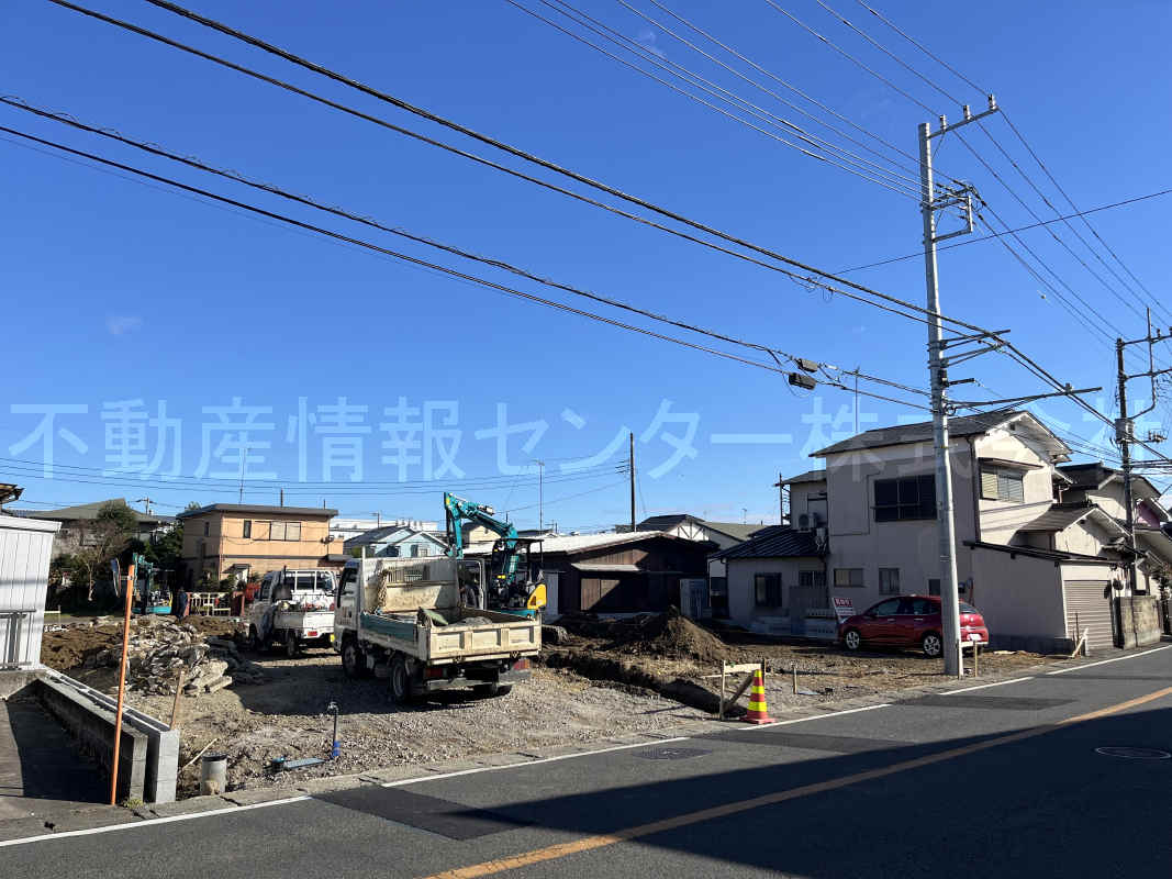 2024年12月撮影