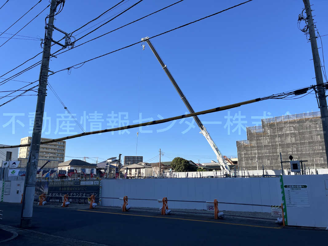 2024年11月撮影