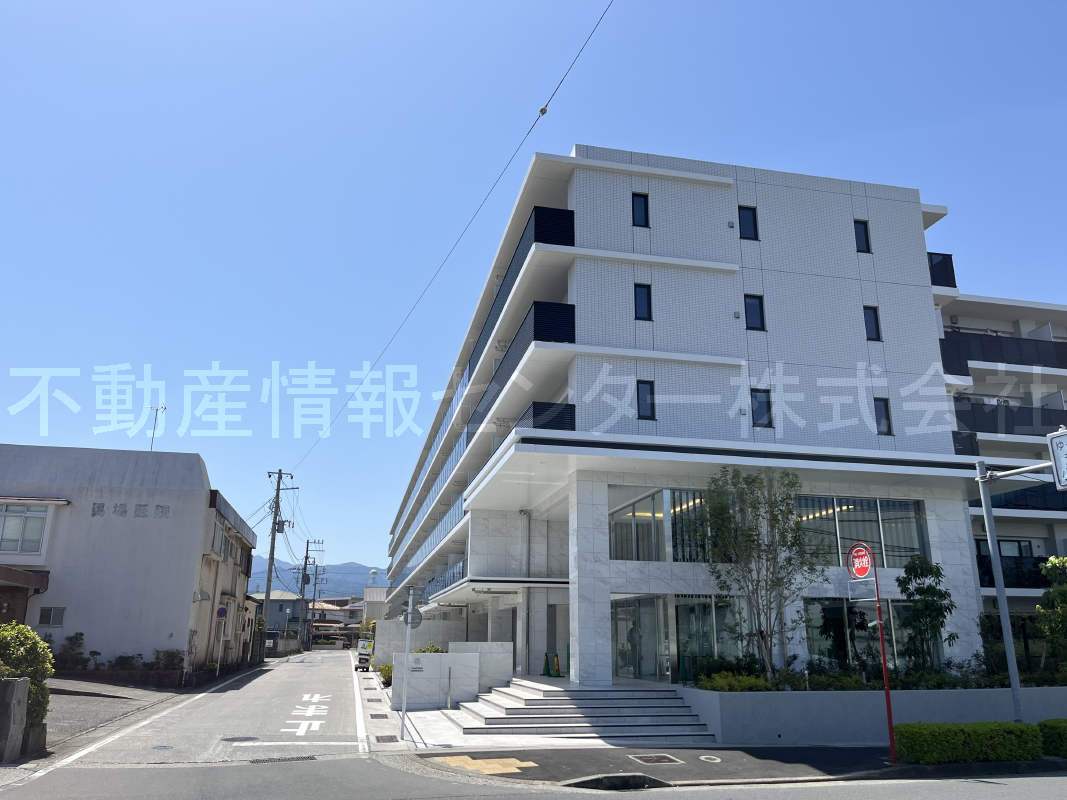2024年5月撮影