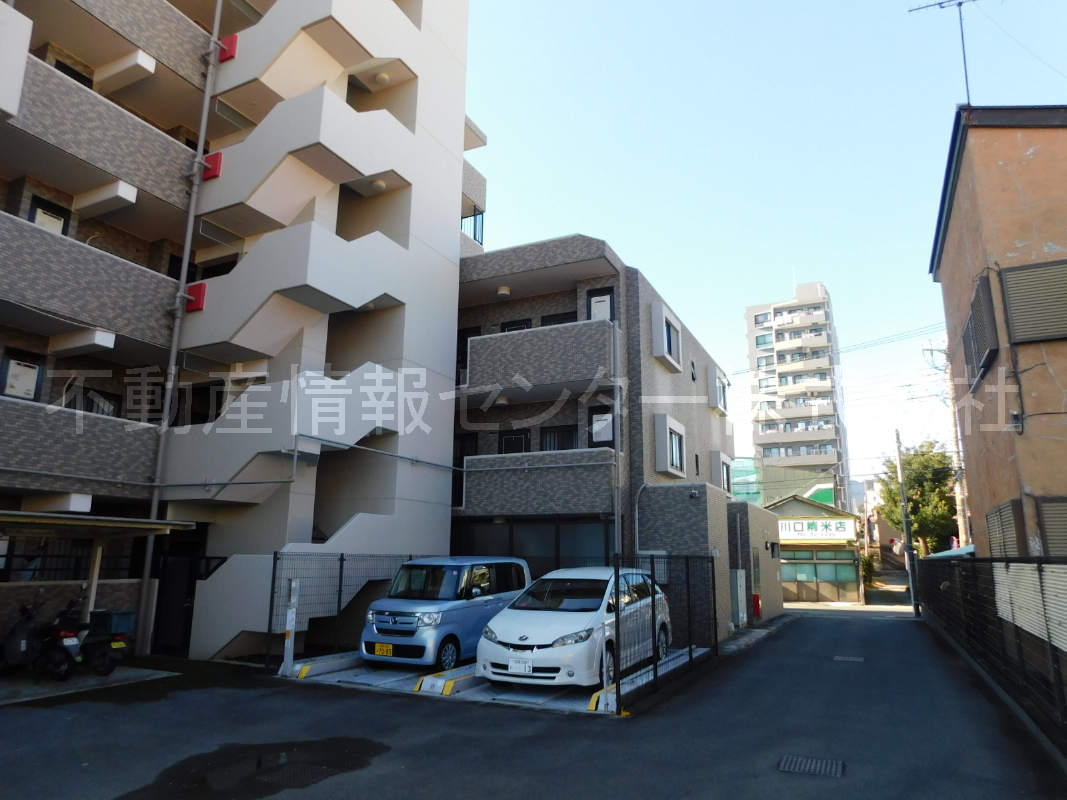 2020年1月撮影