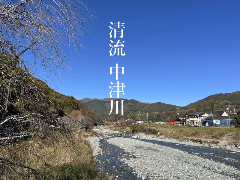 2025年5月撮影