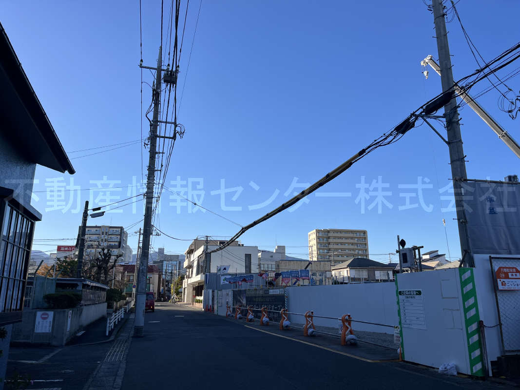 2024年11月撮影