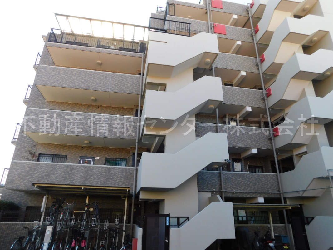 2020年1月撮影