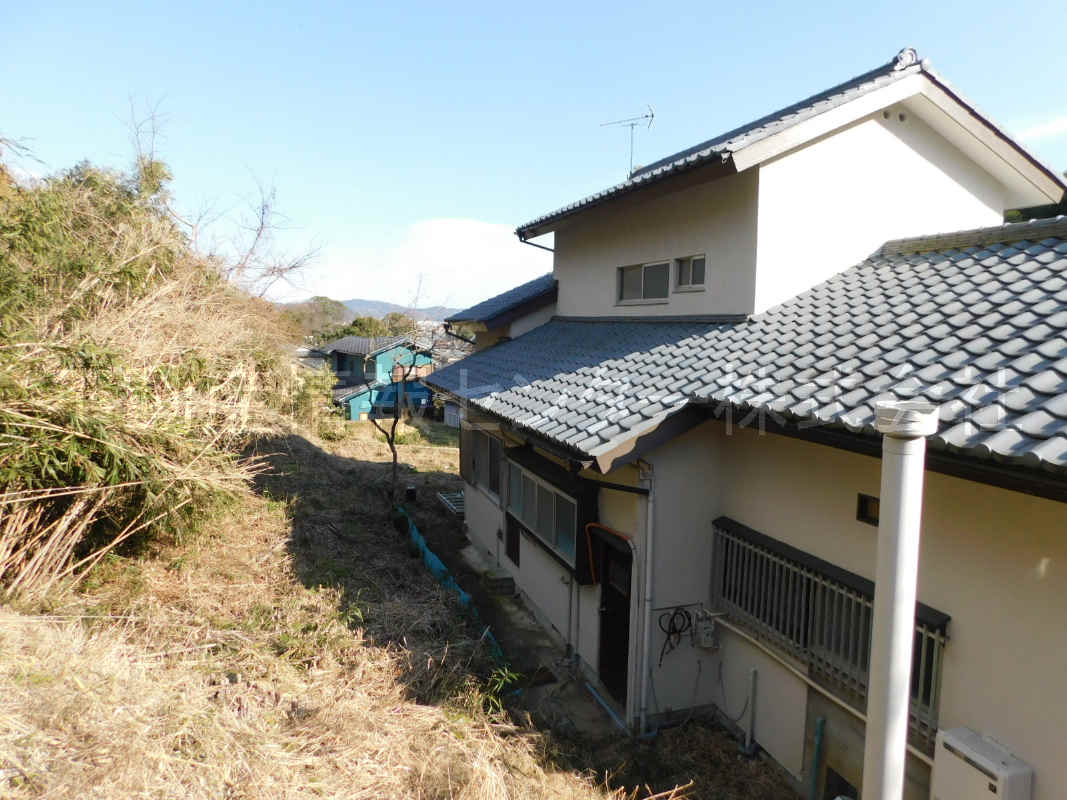 31年1月撮影