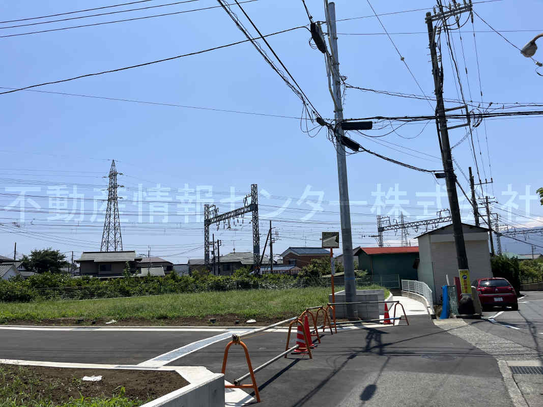 2023年7月撮影