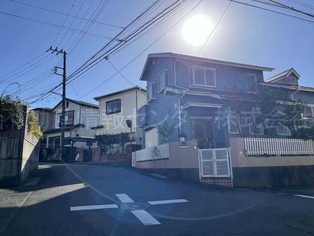 2024年11月撮影