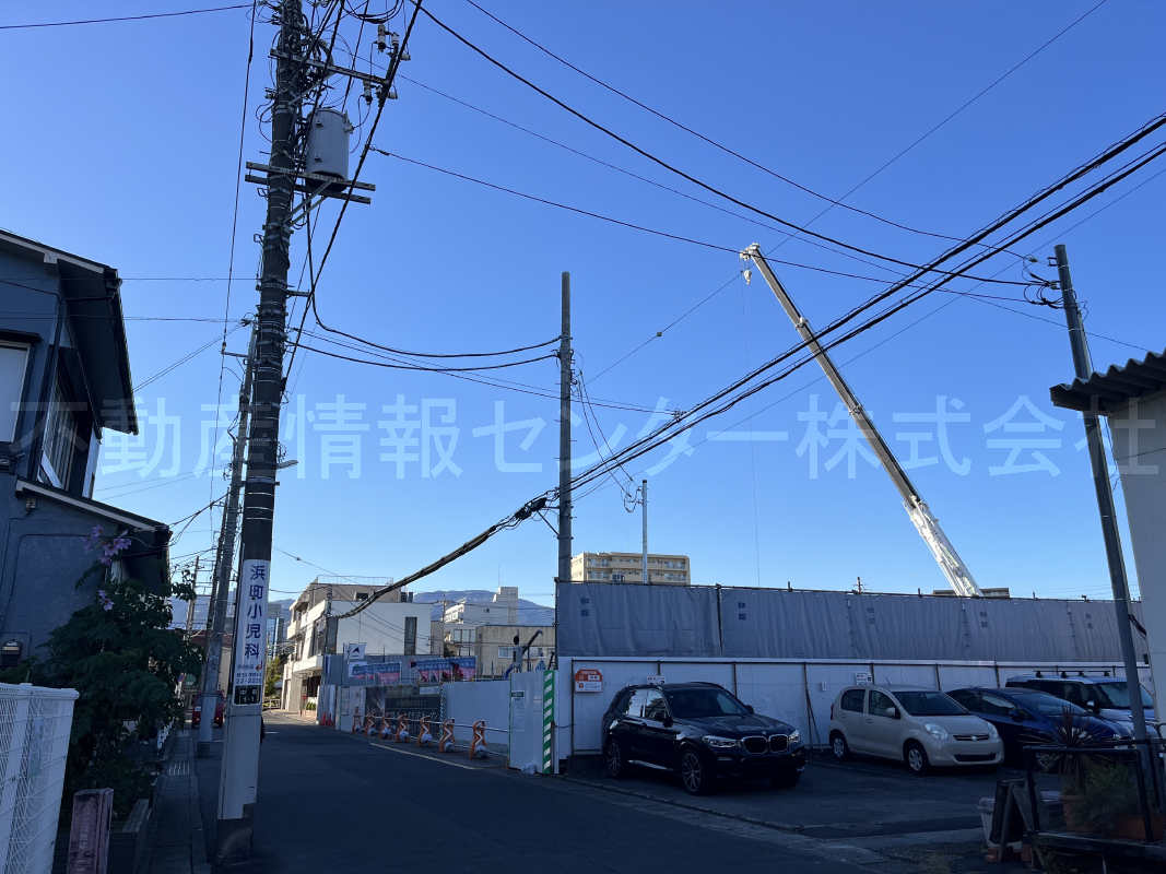 2024年11月撮影