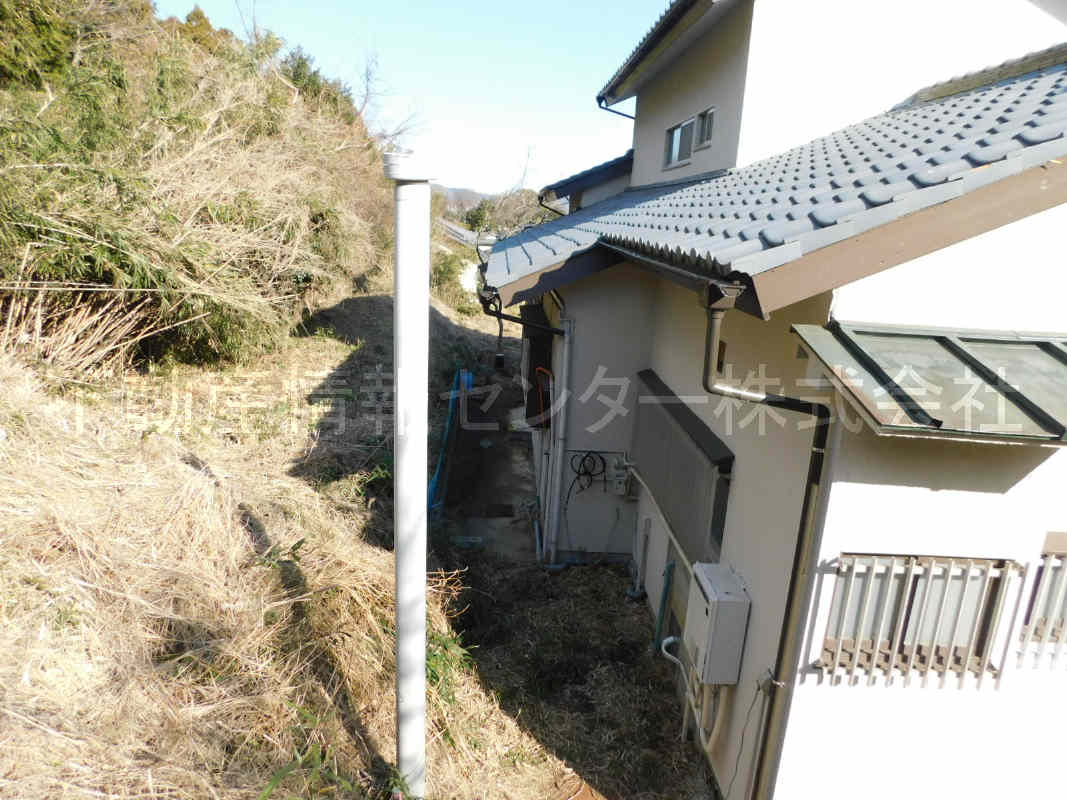 31年1月撮影
