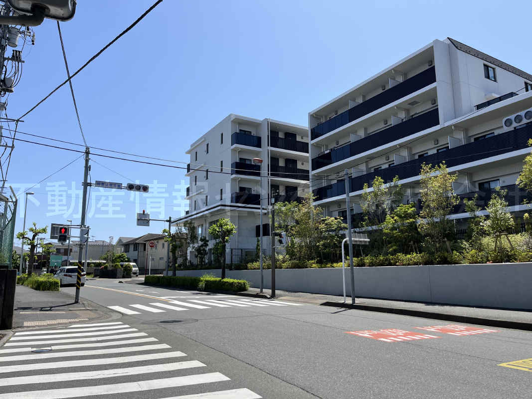 2024年5月撮影