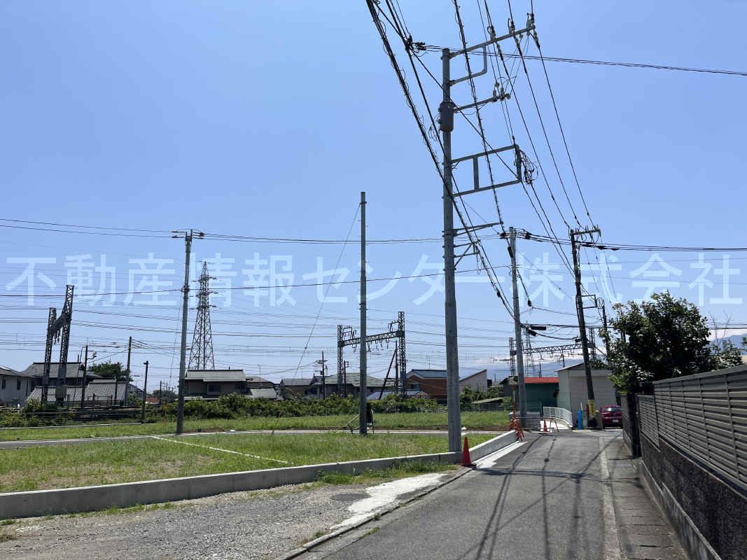 2023年7月撮影