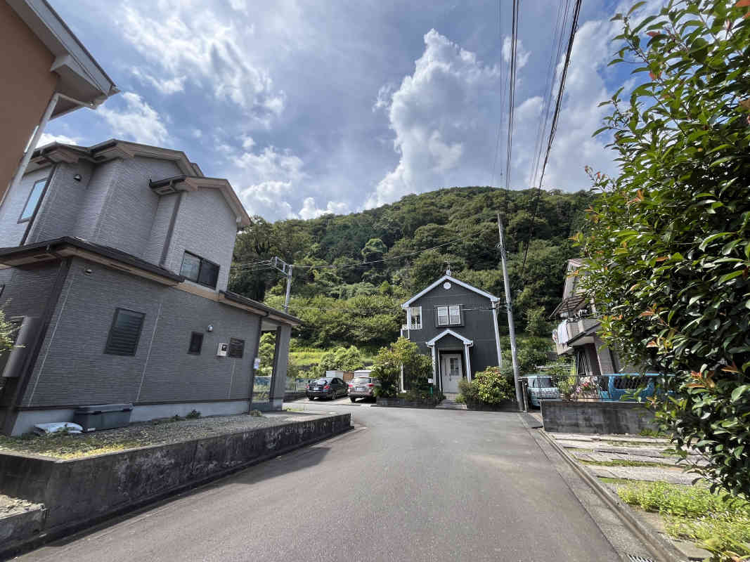 2025年9月撮影