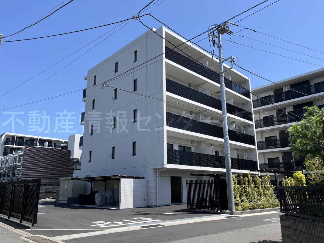 2024年5月撮影