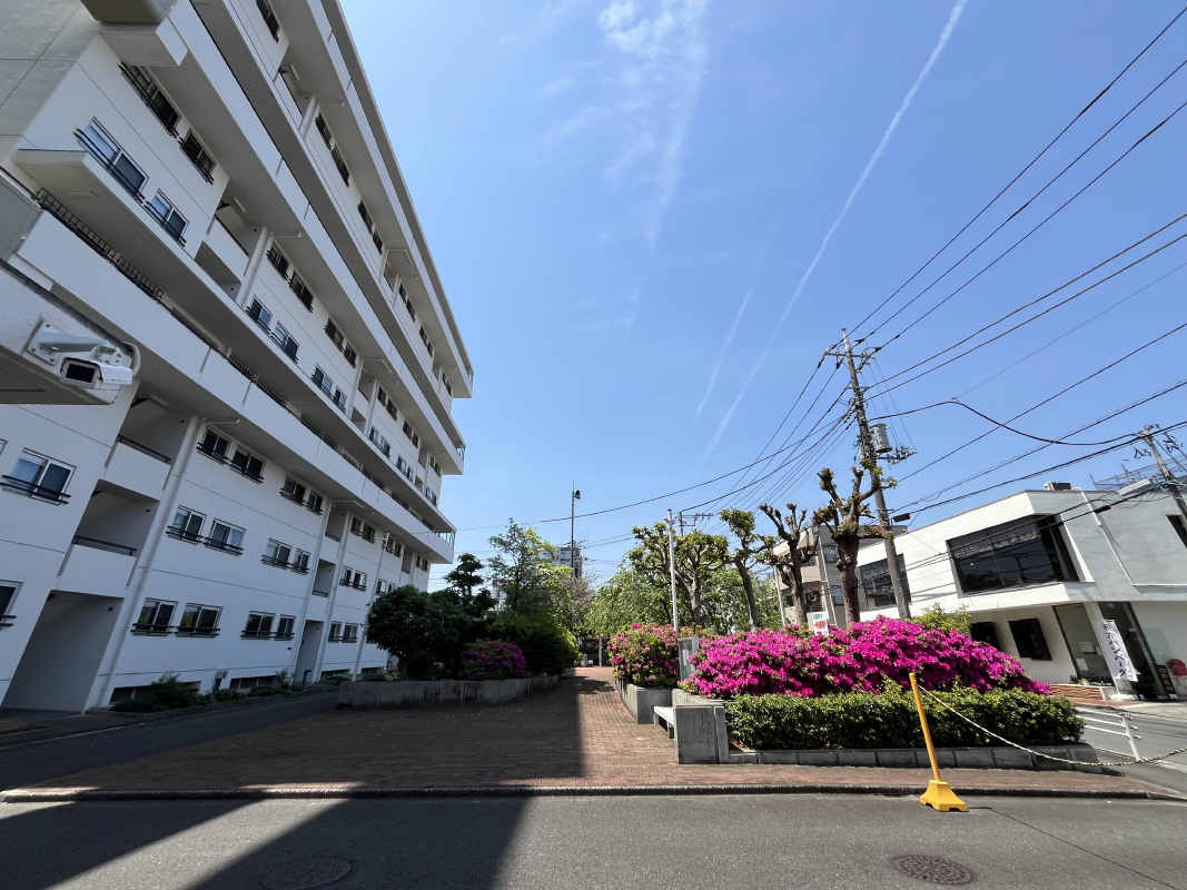 2025年4月撮影