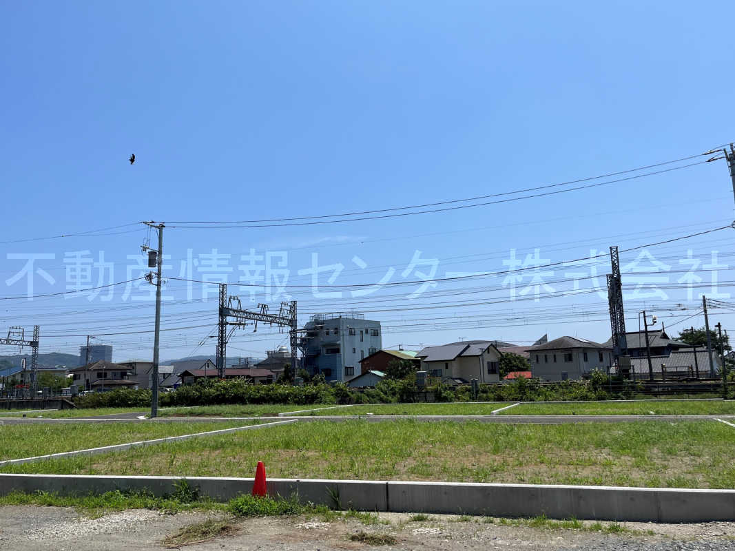 2023年7月撮影