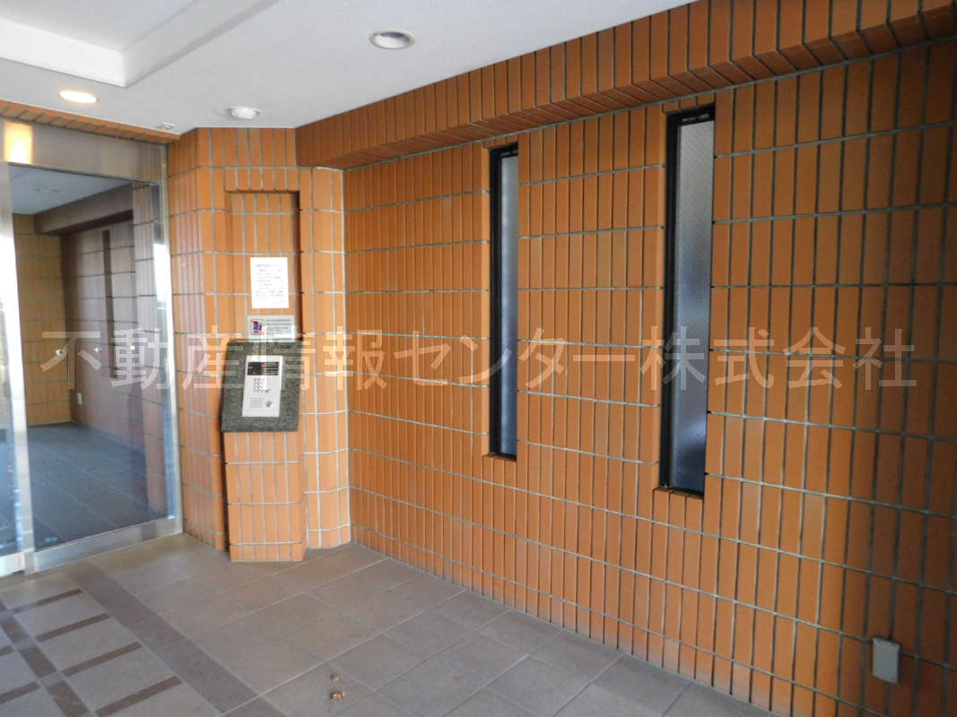 2020年1月撮影
