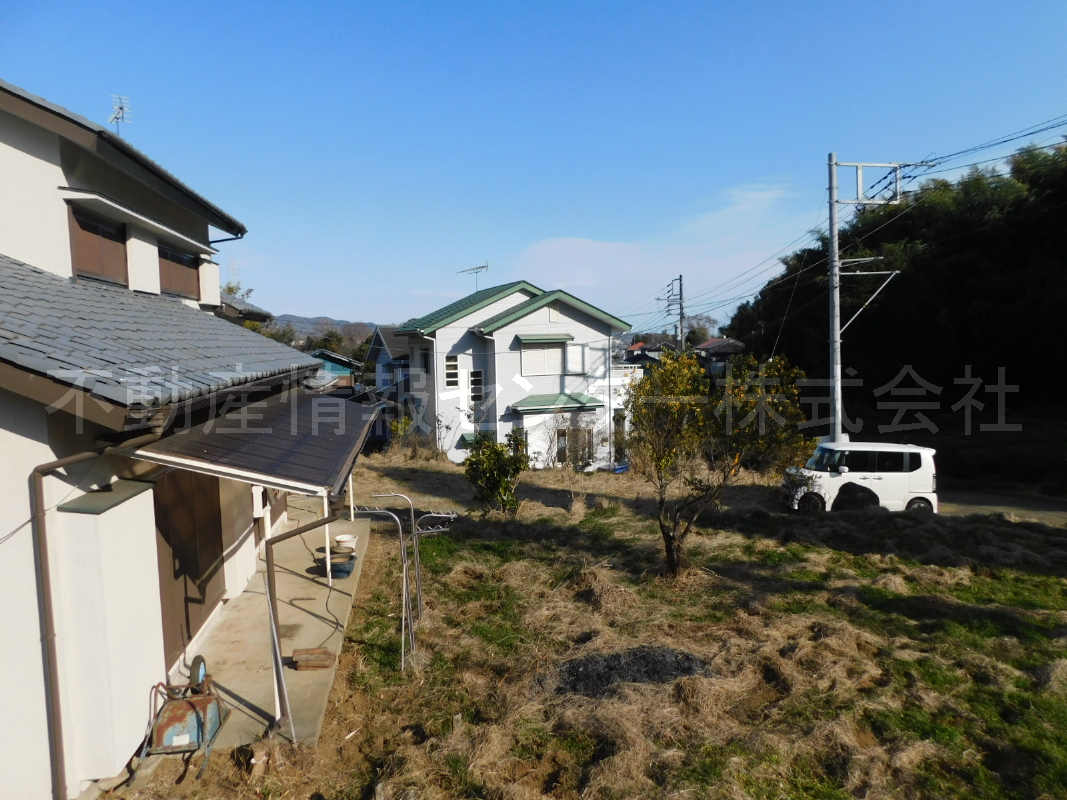 31年1月撮影