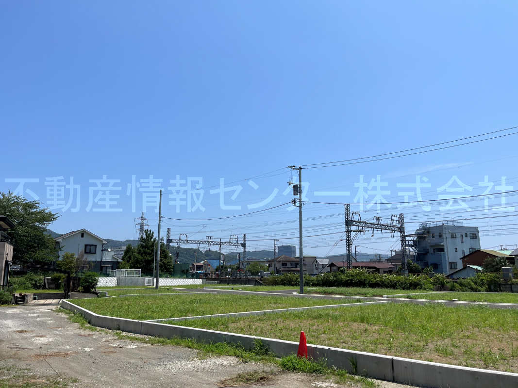 2023年7月撮影