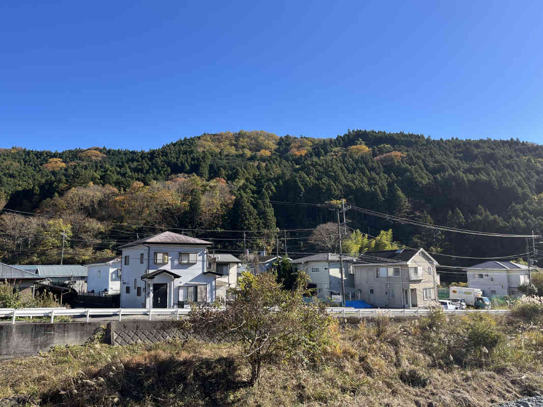 2025年5月撮影