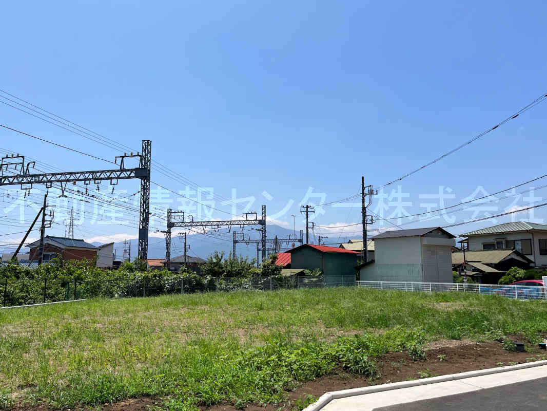 2023年7月撮影
