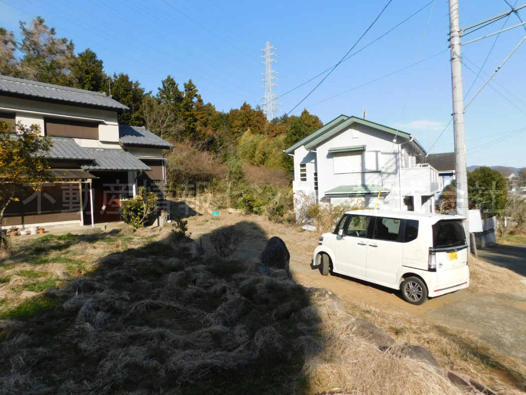 31年1月撮影