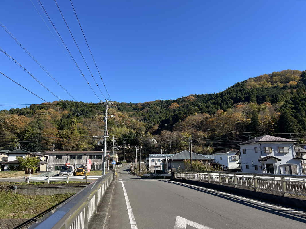 2025年5月撮影