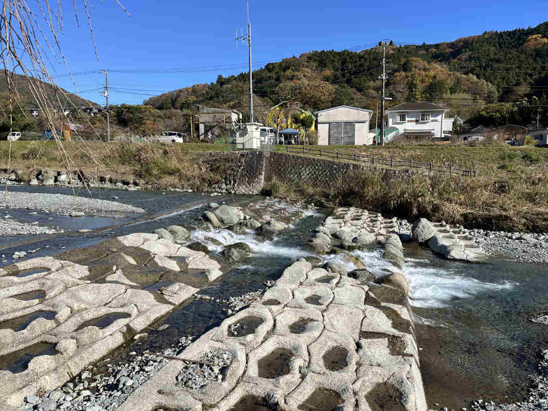 2025年5月撮影