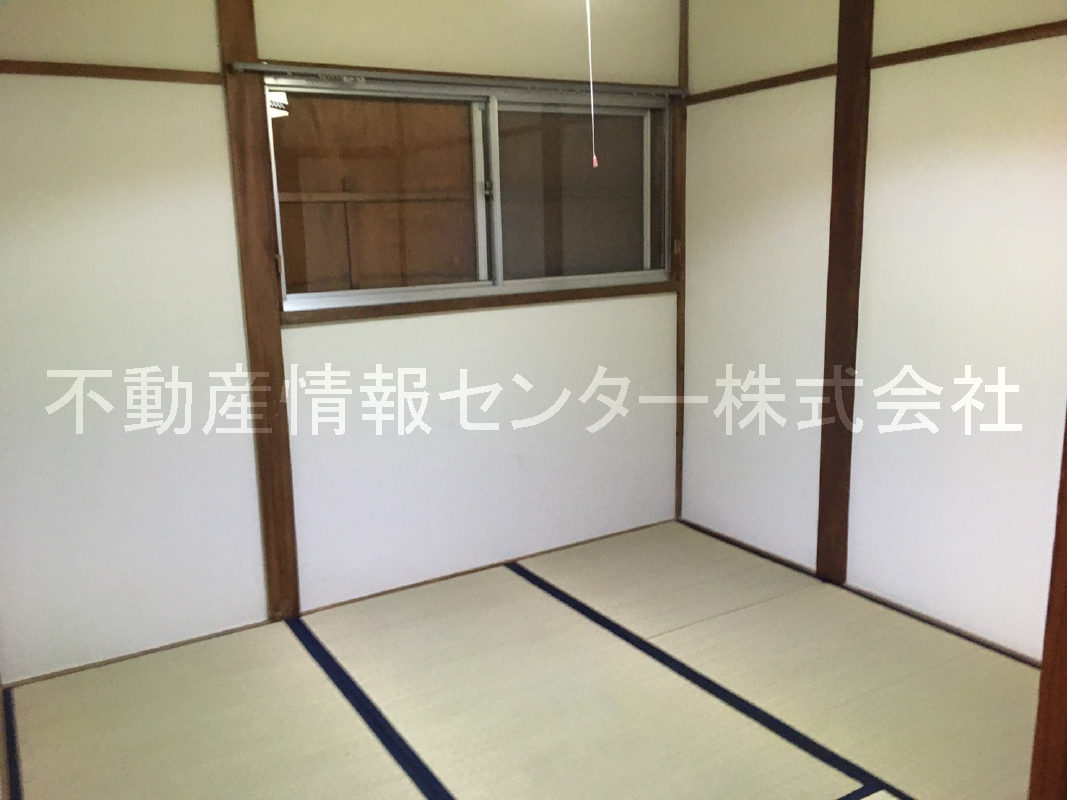 31年10月撮影