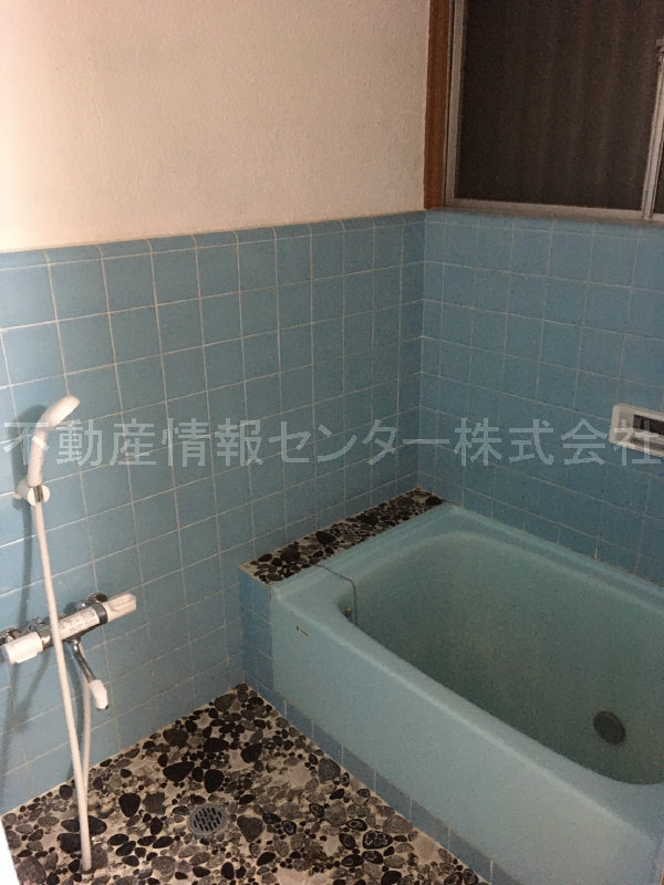 31年10月撮影