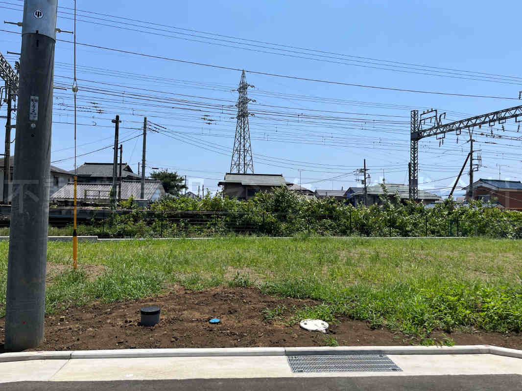 50955画像